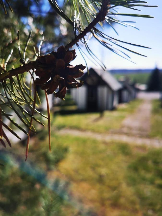 Cyklocamp Pod Landstejnem Ξενοδοχείο Stare Mesto  Εξωτερικό φωτογραφία